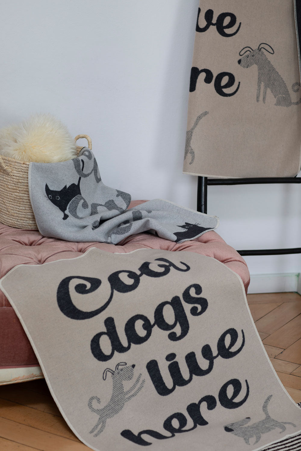 PET blanket "cool dogs live here" small