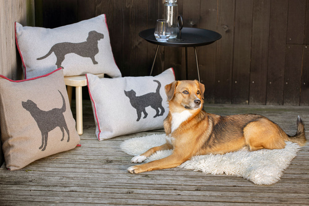 PET cushion cover "dachshund" in . Pet Cushion Cover made by David Fussenegger , a family-run mill in Austria.