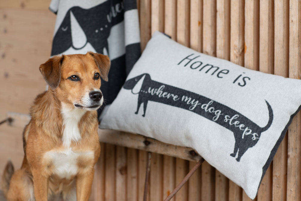 PET cushion cover "Home Is Where My Dog Sleeps" in . Pet Cushion Cover made by David Fussenegger , a family-run mill in Austria.
