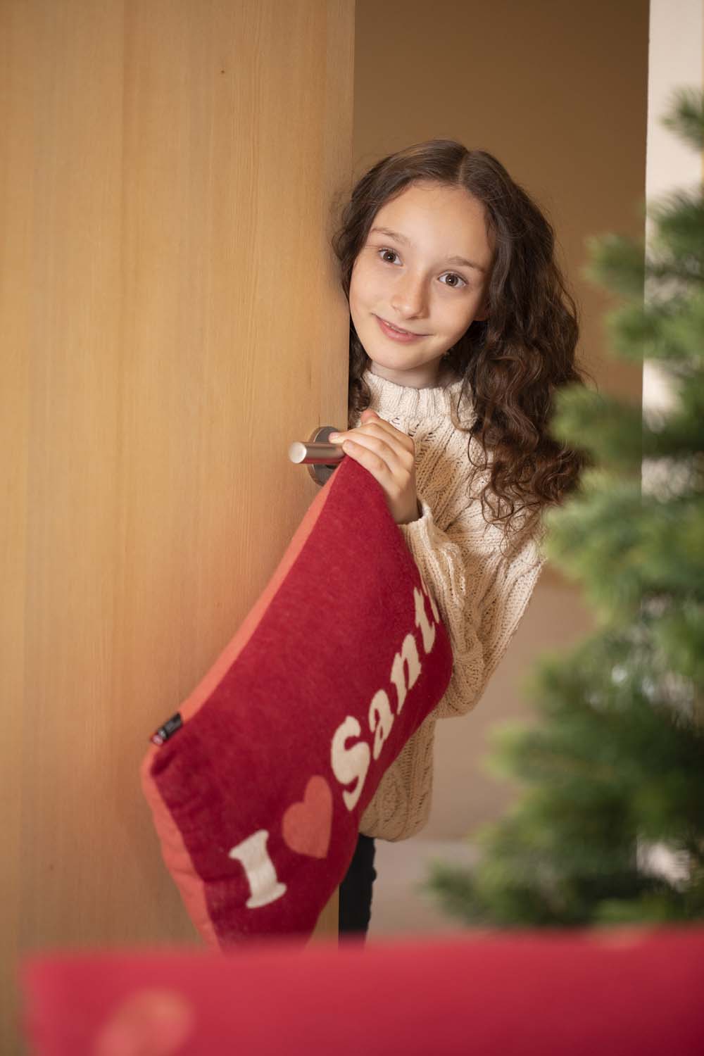 SILVRETTA pillow "I love Santa" in . Filled Cushion made by David Fussenegger , a family-run mill in Austria.