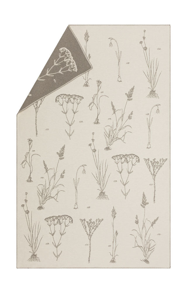 NOVA throw "herbarium" in offwhite . Throw Blanket made by David Fussenegger , a family-run mill in Austria.