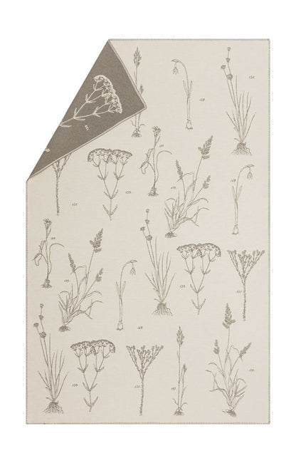 NOVA throw "herbarium" in offwhite . Throw Blanket made by David Fussenegger , a family-run mill in Austria.