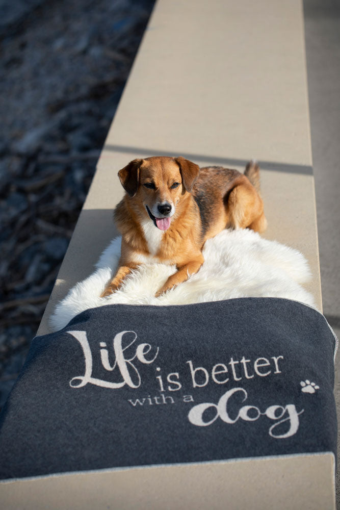 PET blanket "Life is Better with a Dog" large in . Pet Blanket made by David Fussenegger , a family-run mill in Austria.
