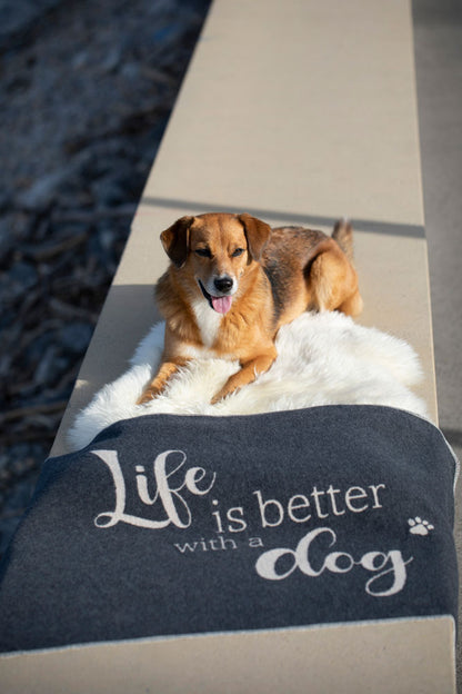 PET blanket "Life is Better with a Dog" large in . Pet Blanket made by David Fussenegger , a family-run mill in Austria.