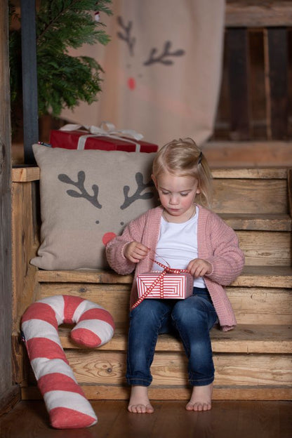 SILVRETTA Pillow "Rudolph" in . Filled Cushion made by David Fussenegger , a family-run mill in Austria.