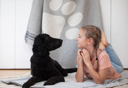 PET blanket "paw" large