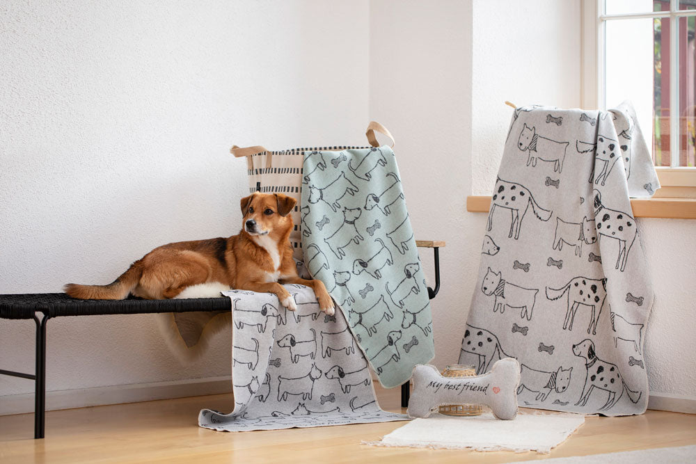 PET blanket "best friends allover" small in . Pet Blanket made by David Fussenegger , a family-run mill in Austria.