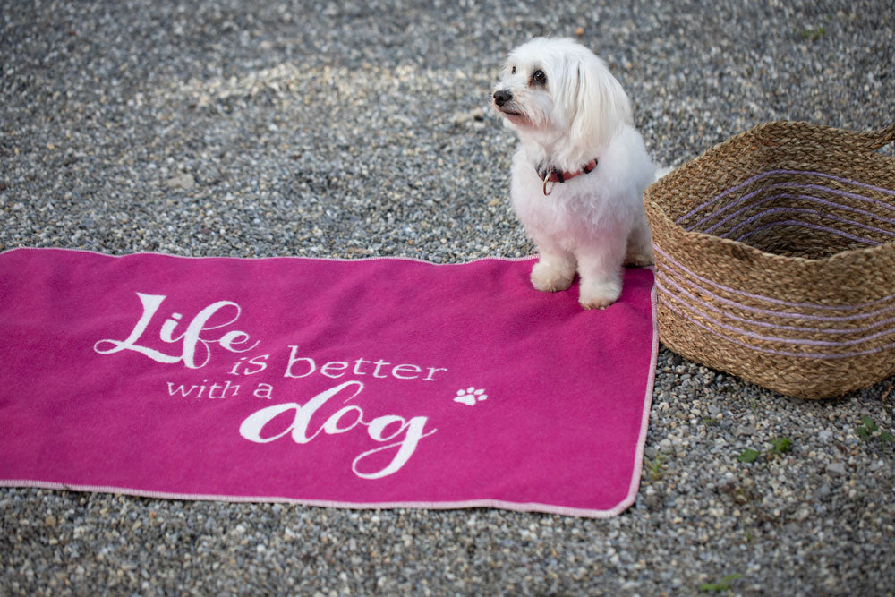 PET blanket "life is better with a dog" small in . Pet Blanket made by David Fussenegger , a family-run mill in Austria.