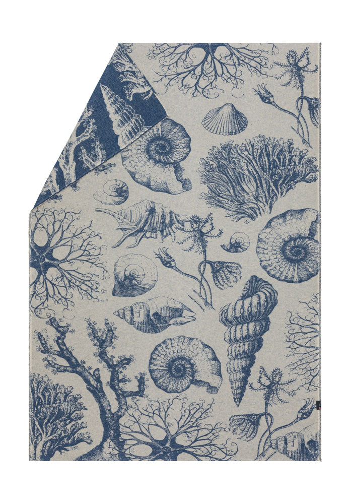 ALBA throw "submarine"