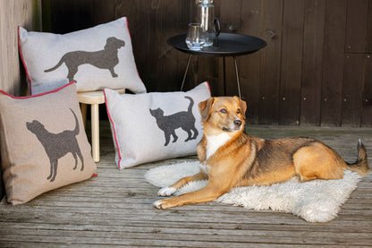 PET cushion cover "dachshund" in . Pet Cushion Cover made by David Fussenegger , a family-run mill in Austria.
