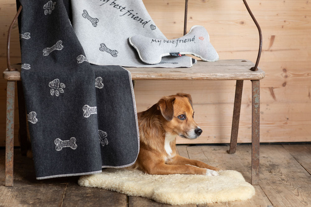 PET blanket "my best friend" bones allover large in . Pet Blanket made by David Fussenegger , a family-run mill in Austria.