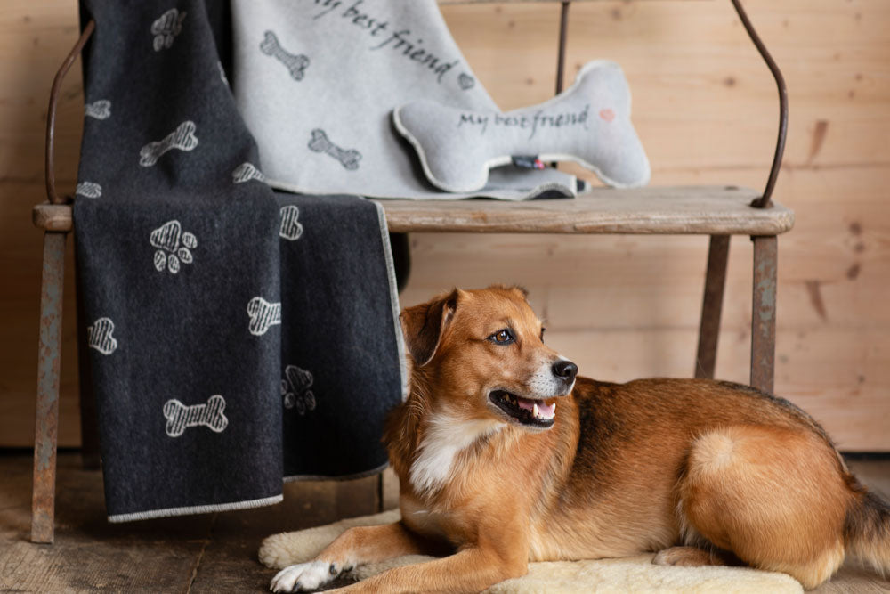 PET blanket "my best friend" bones allover large in . Pet Blanket made by David Fussenegger , a family-run mill in Austria.
