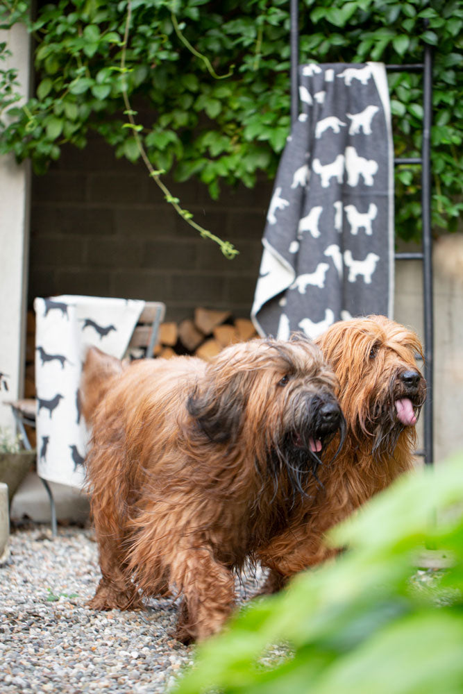 PET blanket "dog silhouettes allover" in . Pet Blanket made by David Fussenegger , a family-run mill in Austria.
