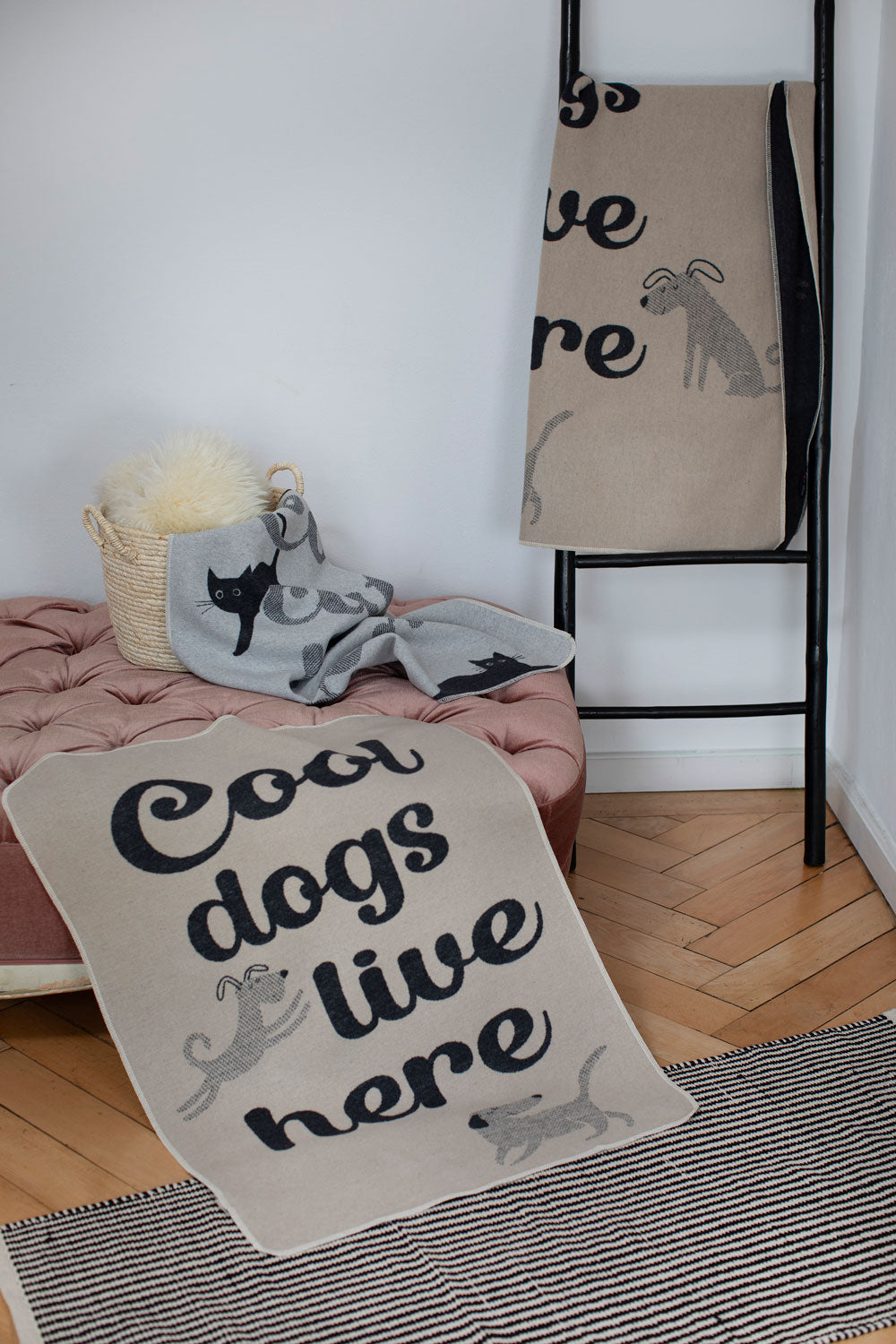 PET blanket "cool cats live here" small