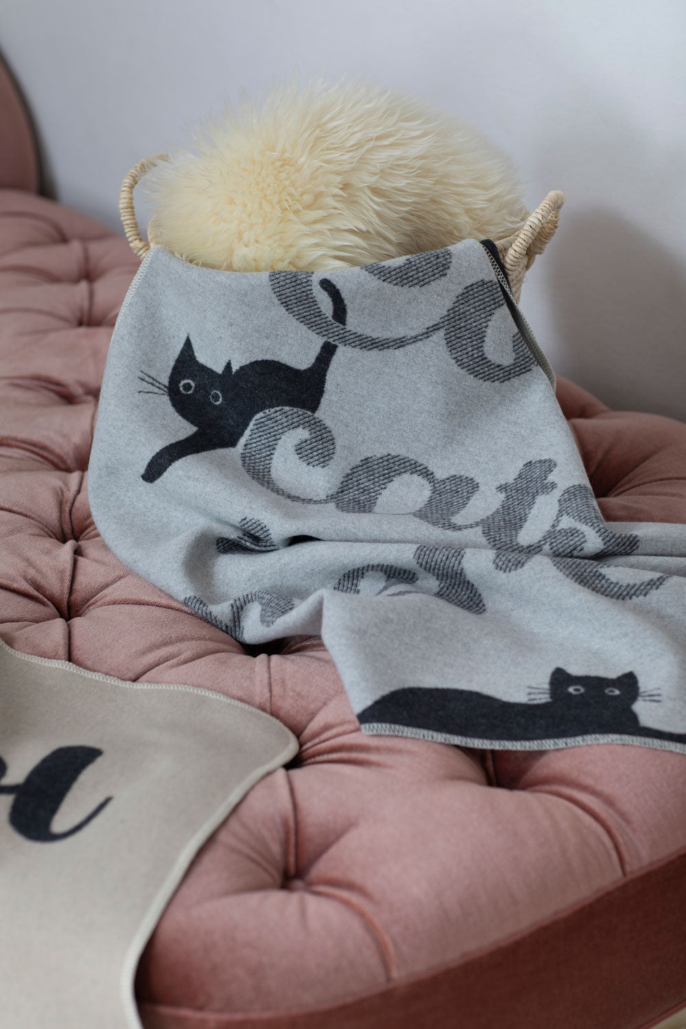 PET blanket "cool cats live here" small